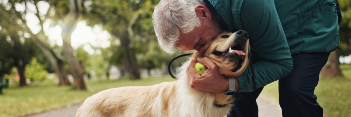 dog training in Ladysmith