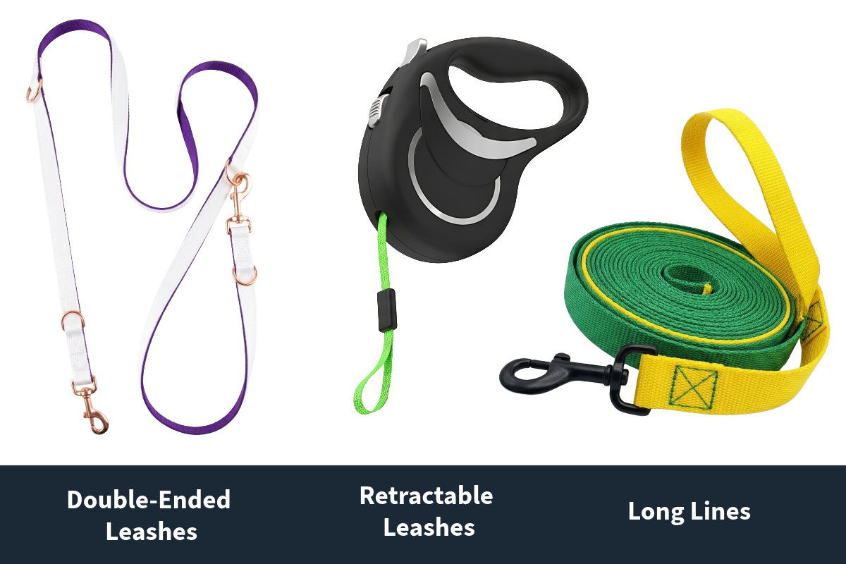 dog training leashes